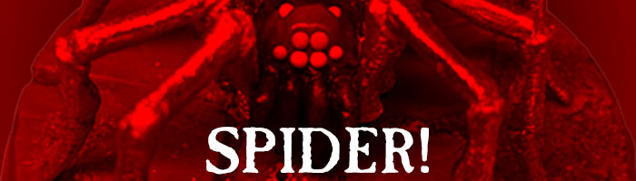 NEW Giant Spider in resin, sculpted by Andy Foster. Click here to see all results for 'spider'